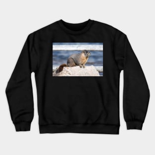 The Marmot Mentor Crewneck Sweatshirt